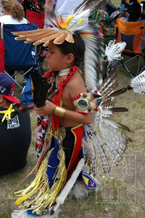 Pow Wow 99 72 dpi wm.jpg